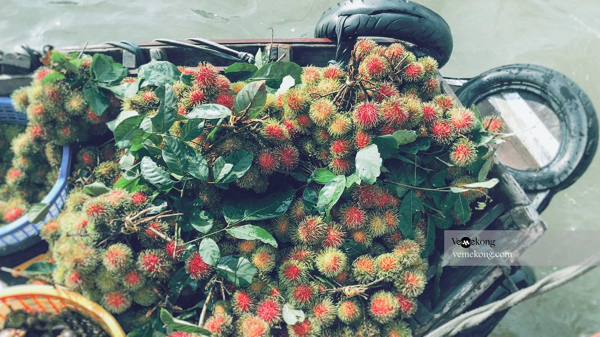 Phong Dien floating market & small canal