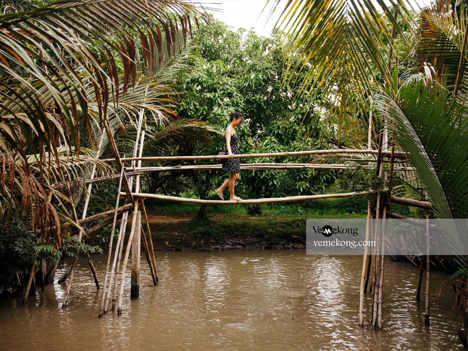 Can Tho Fruit Garden & Floating Market