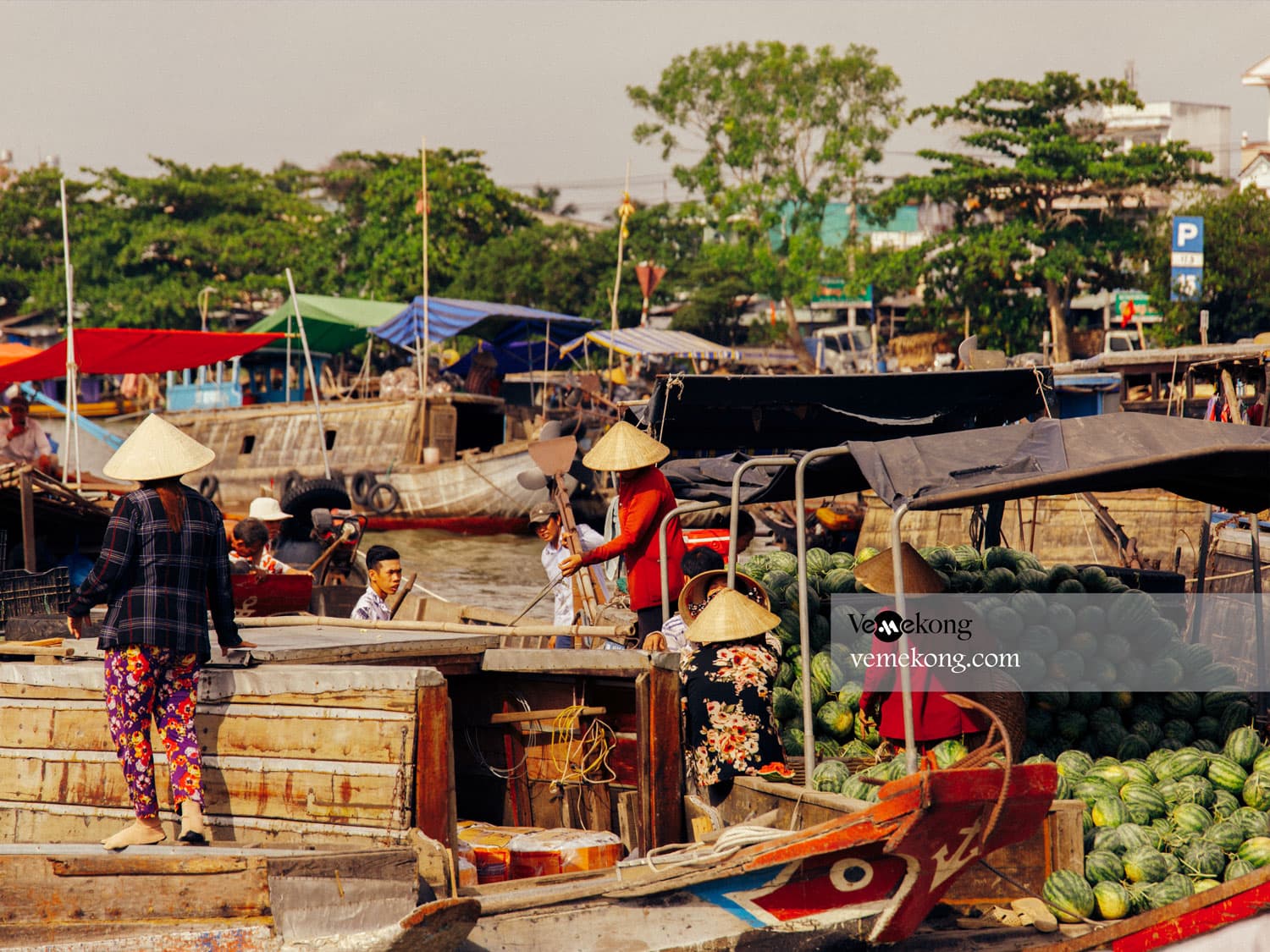 Can Tho Fruit Garden & Floating Market