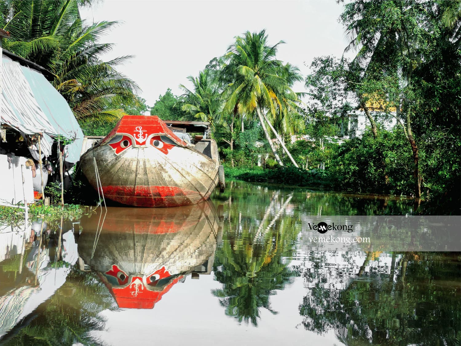 Can Tho: A Real Mekong Tour, Floating Market, Cacao & Life's