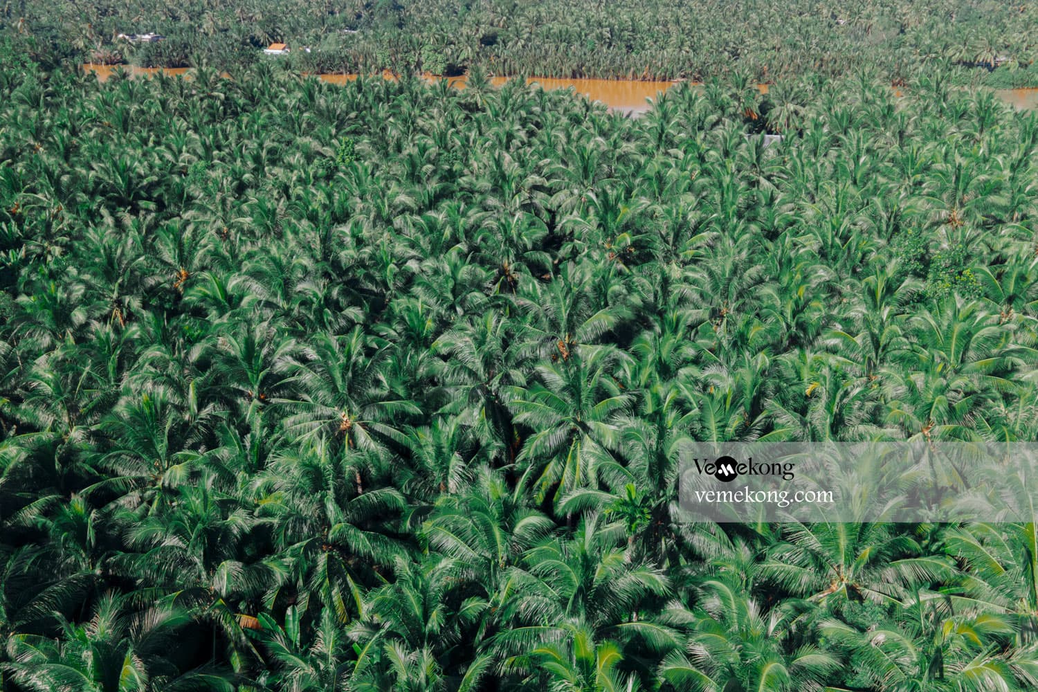 Ben Tre Tour From Can Tho 1 Day