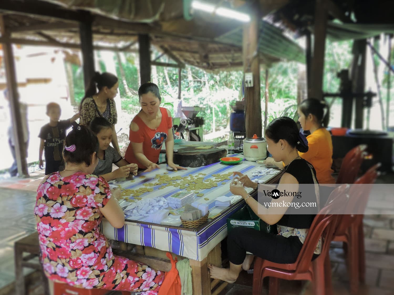 Ben Tre Tour & Small Coconut Canals