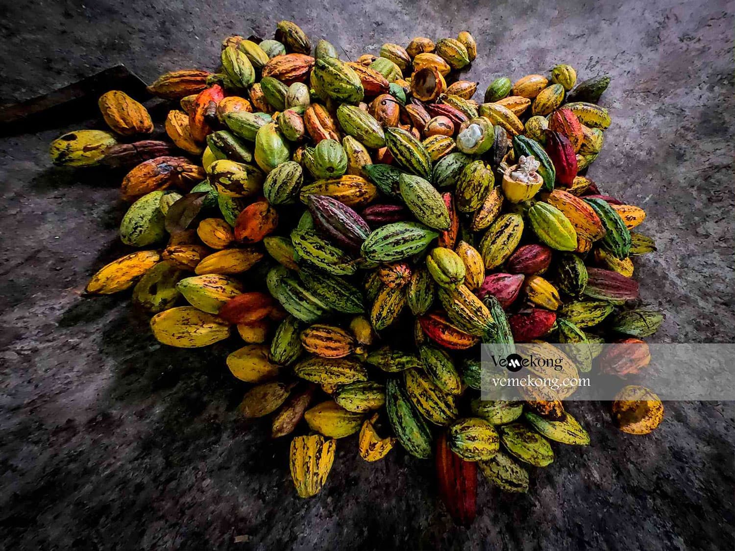 Can Tho: A Real Mekong Tour, Floating Market, Cacao & Life's