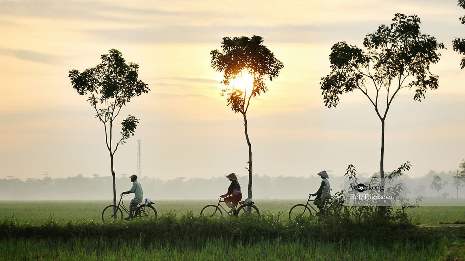 Can Tho Bike Tours
