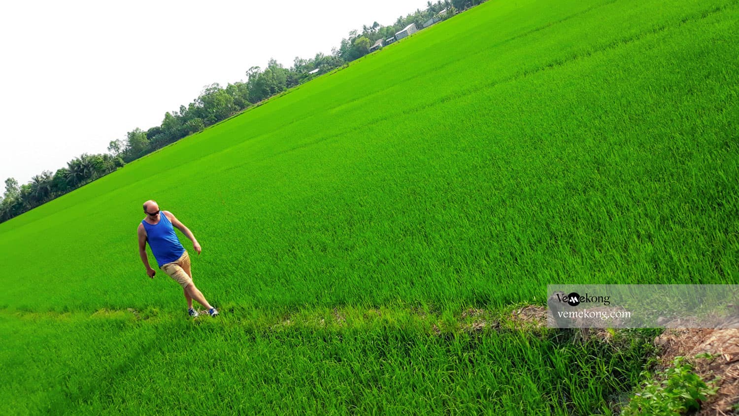 Chau Doc Countryside Cycling Tour & Rice Fields