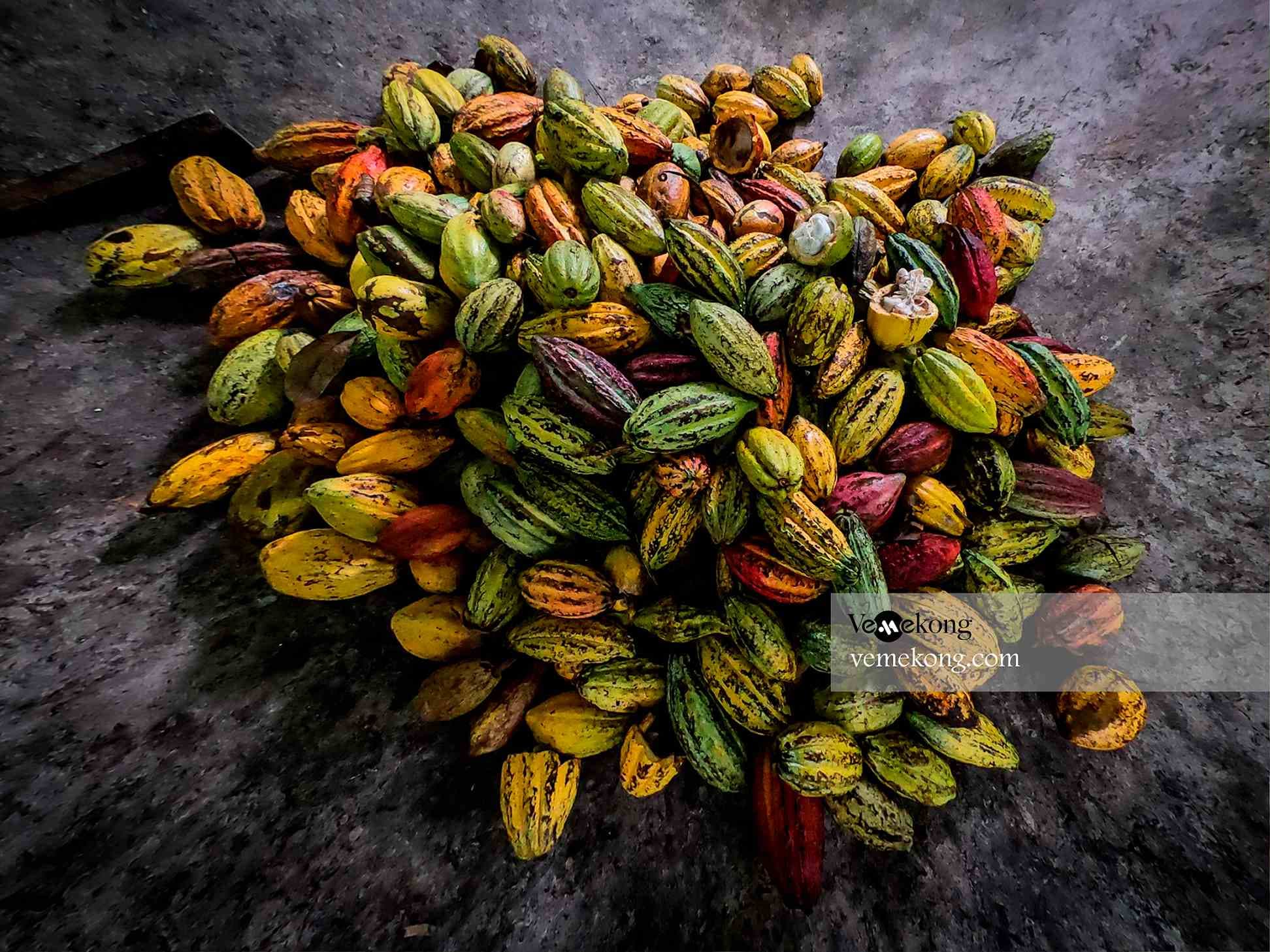 Mekong Delta & Floating Market Tour 3-Day HCMC-Can Tho-HCMC
