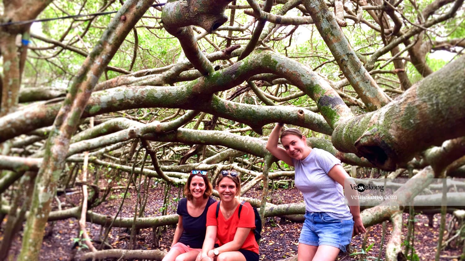 Lung Ngoc Hoang Forest Nature Reserve Tour From Can Tho
