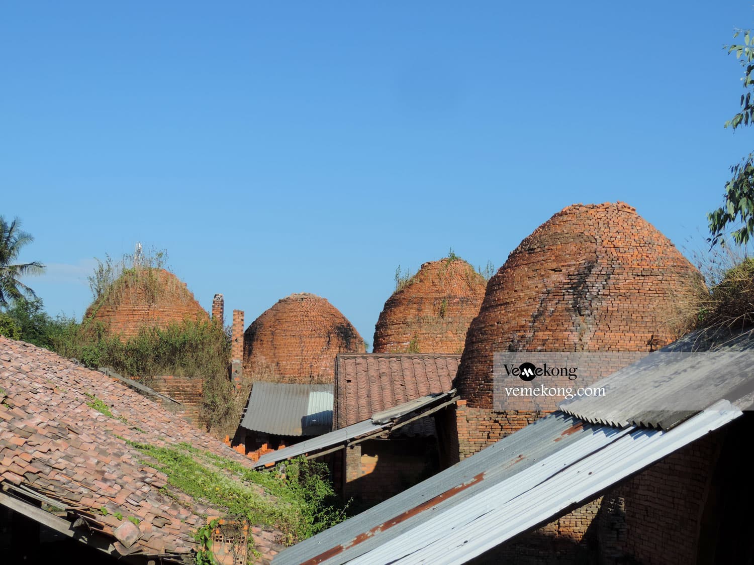 Mekong Delta & Floating Market 2-Day Tour HCMC-Can Tho-HCMC