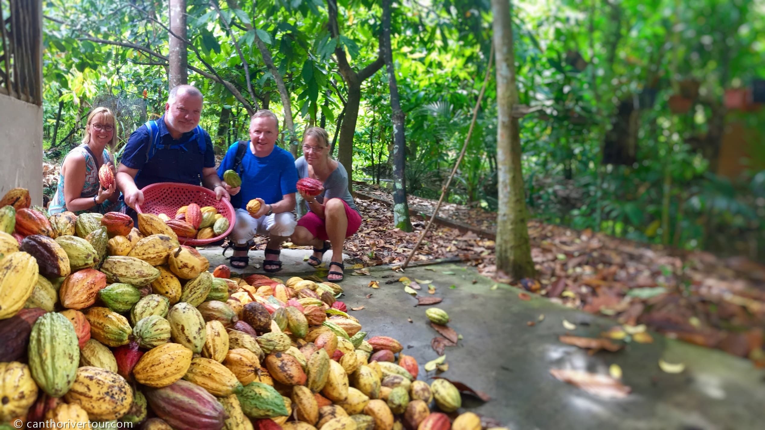 Can Tho Bike Tour: Village & Cacao Farm & Rice Fields