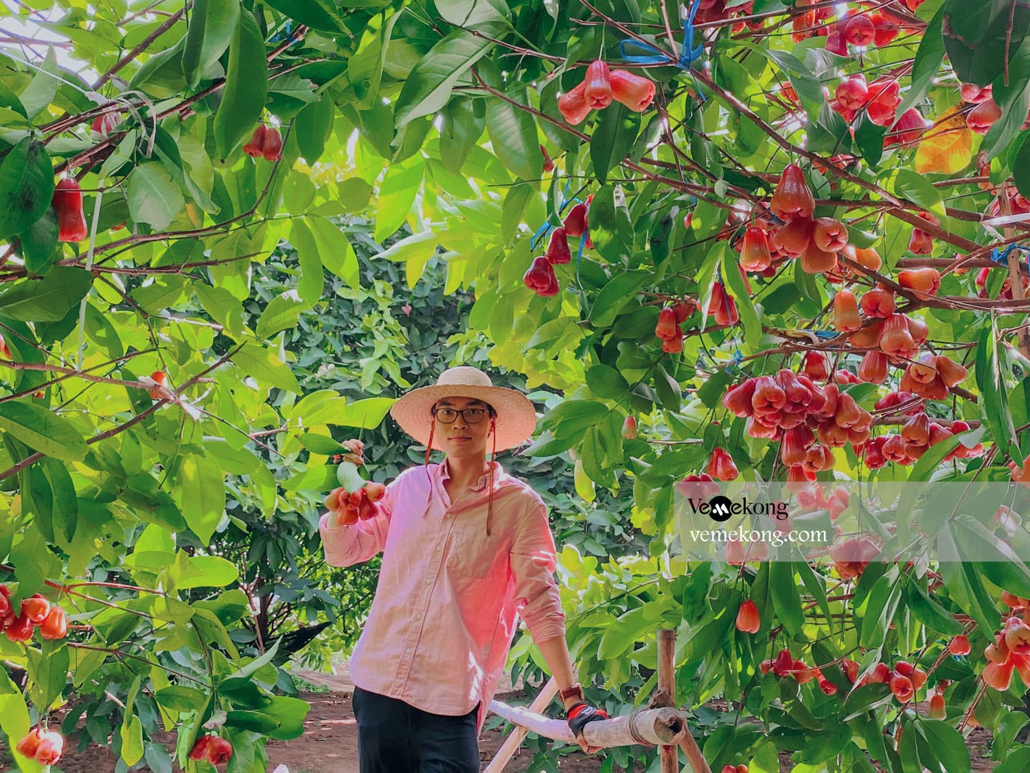 Son Islet Can Tho Tour with Tropical Fruit Garden, Duck Massage & Flying Fish