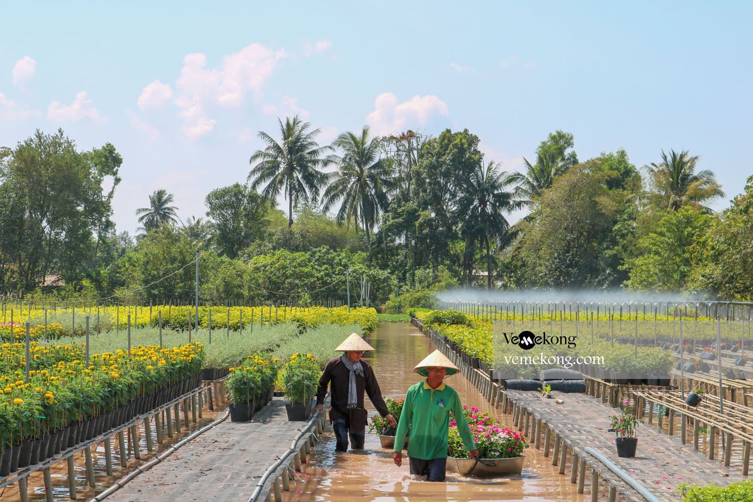 Xeo Quyt forest tour from Can Tho 1 day