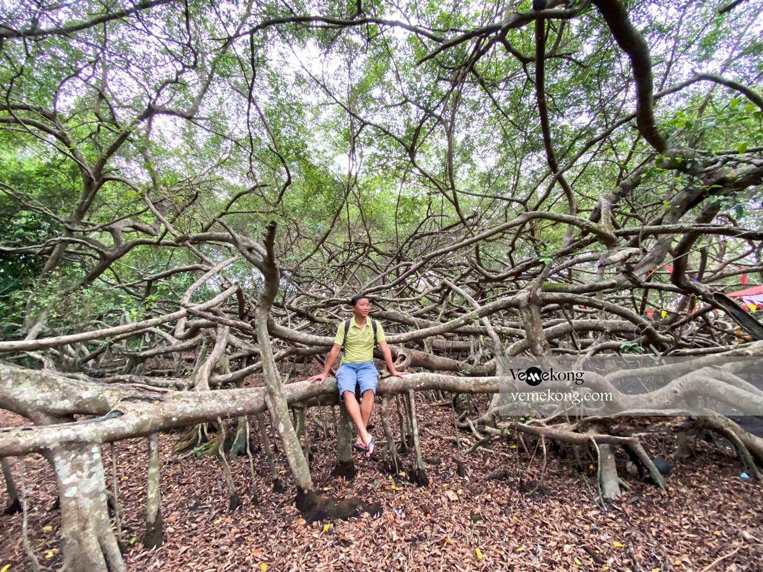 Can Tho Private Car to Ha Tien with Multi Sightseeing Stops