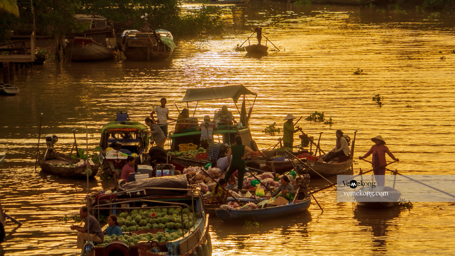Phong Dien floating market & small canal