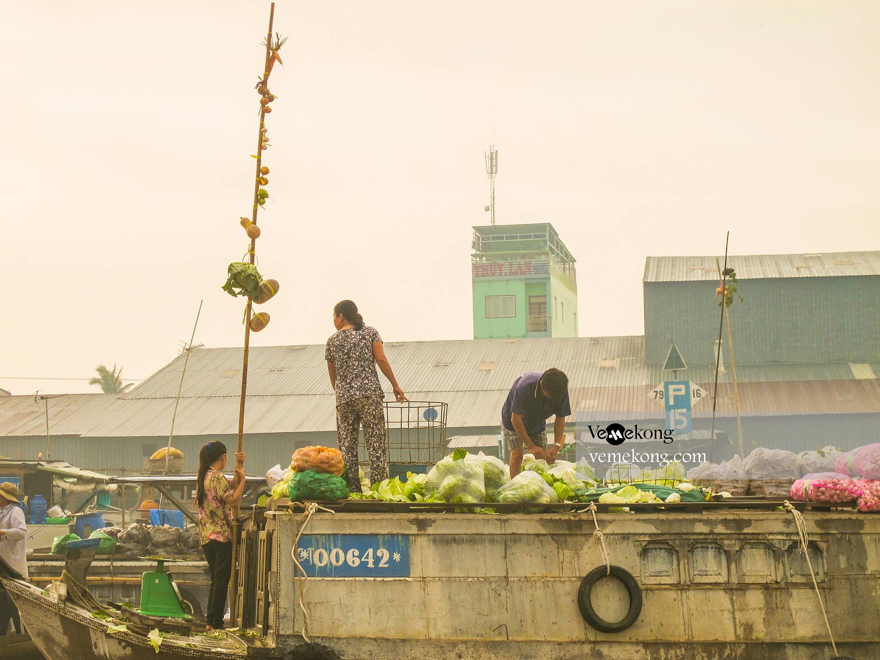 Can Tho Cycling Tour & Floating Market