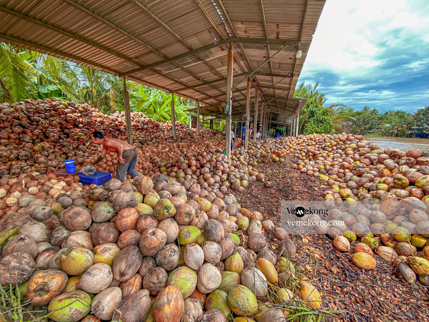 Ben Tre Tour & Small Coconut Canals