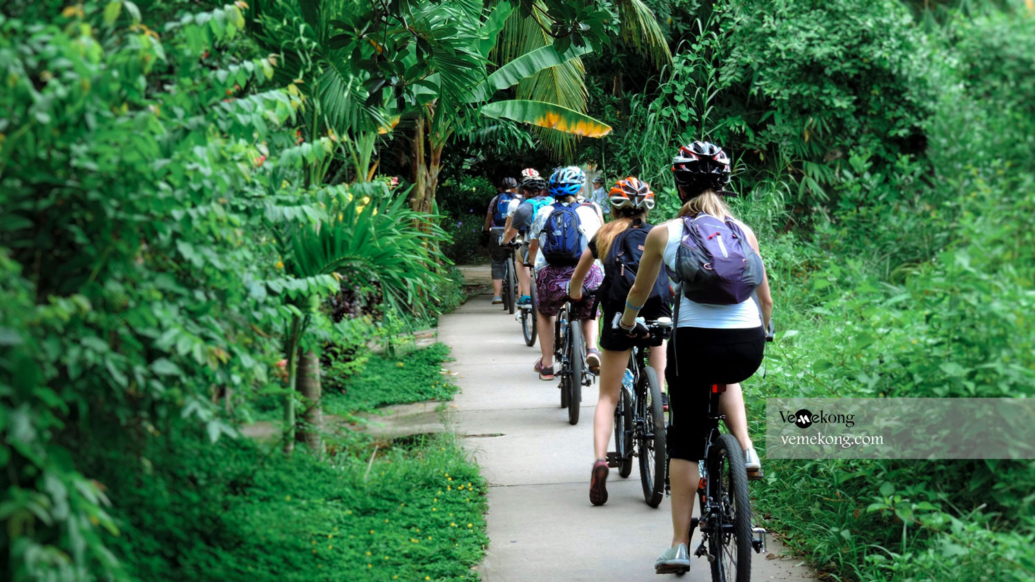 Can Tho Bike Tour: Village & Cacao Farm & Rice Fields