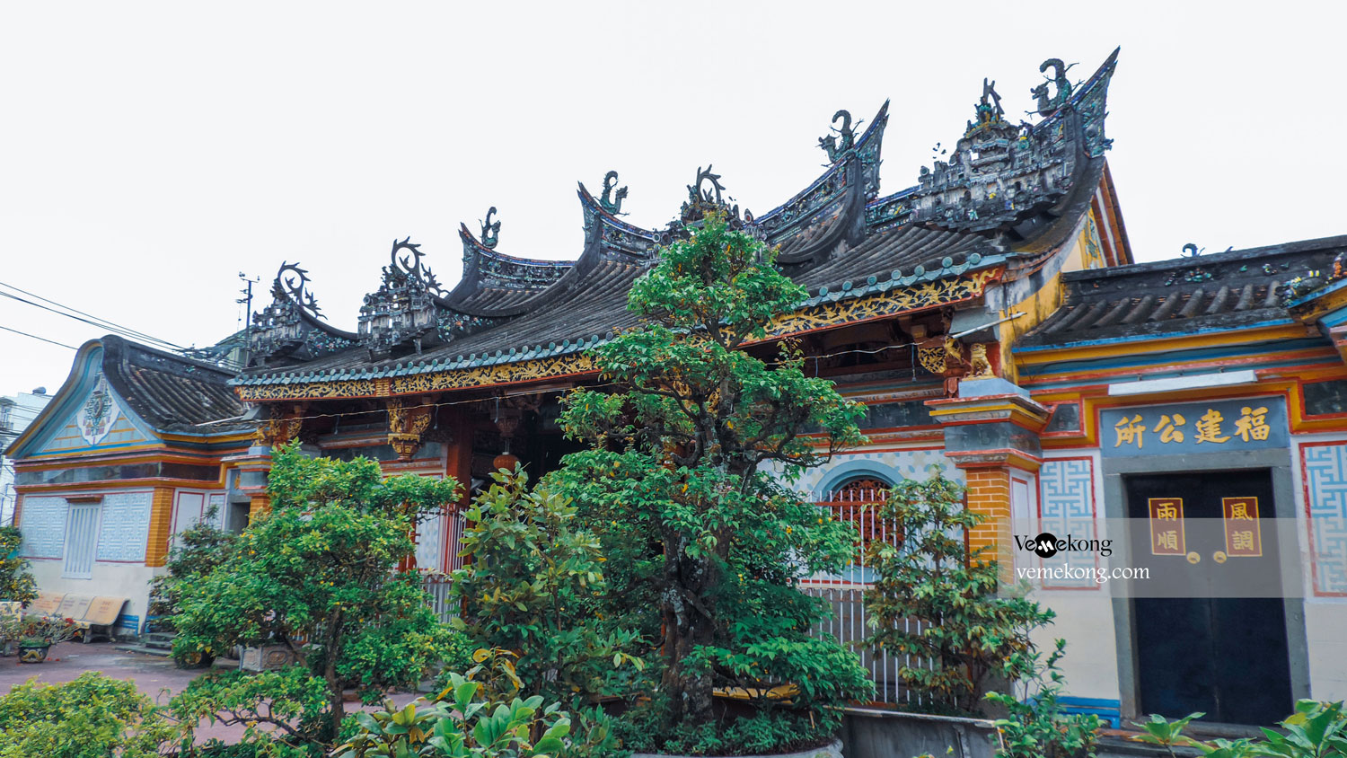 Sa Dec City Tour & Xeo Quyt forest Half Day (Start & End in Sadec)