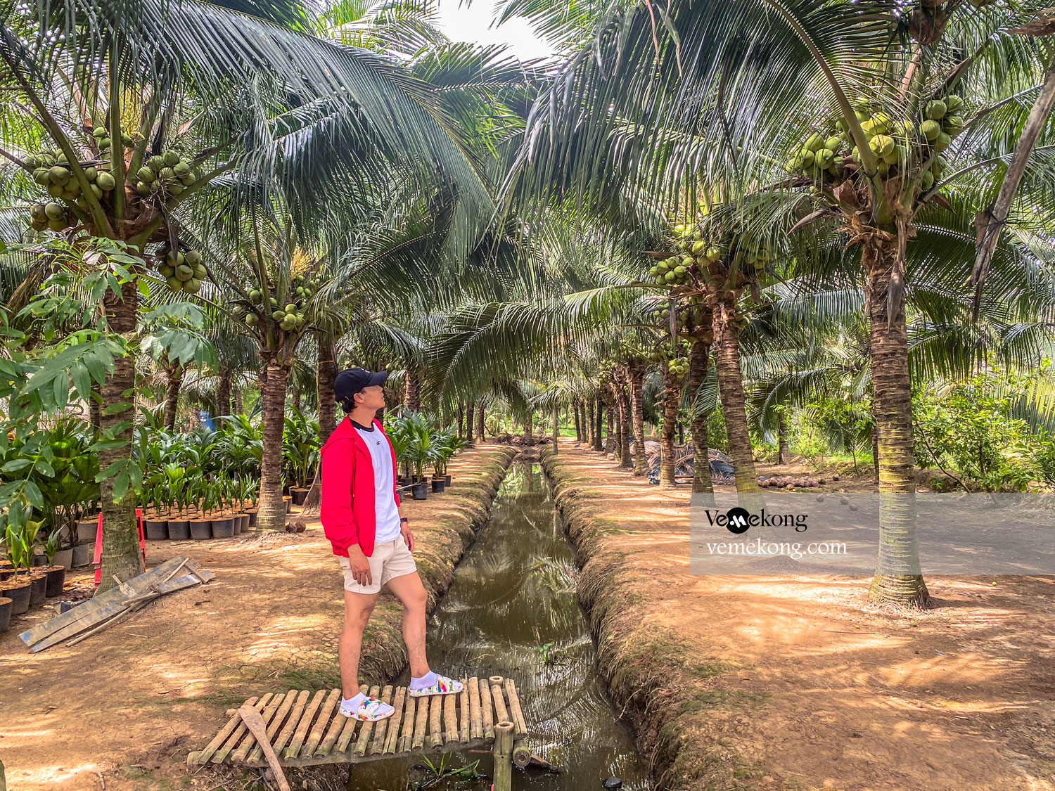 Can Tho Private Car to Ben Tre with Multi Sightseeing Stops